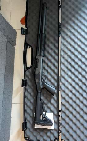 Remington 870 tactical, Armas de fuego en PR