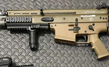 FN Scar 17S, Armas de fuego en PR