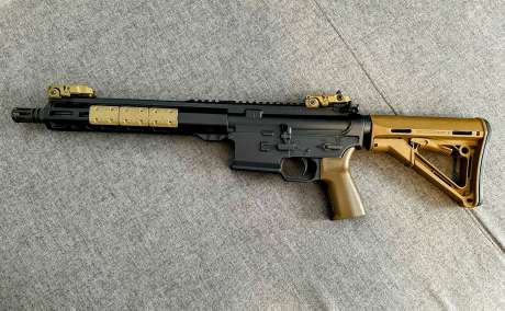 AR-15 Multiples calibres inscritos, Armas de fuego en PR