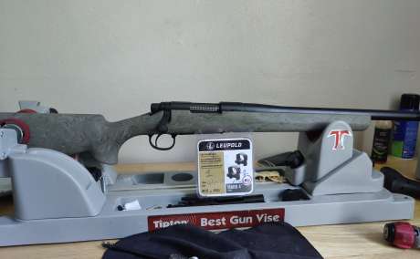 Remington 700 223 sps, Armas de fuego en PR
