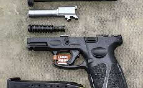 Taurus G3X, Armas de fuego en PR