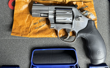 Smith & Wesson 686-6, Armas de fuego en PR