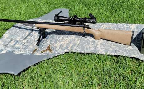 Remington 700, Armas de fuego en PR