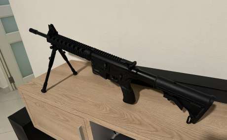 Rifle S&W M&P 15-22, Armas de fuego en PR