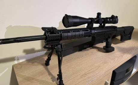 Rifle AR-10, Armas de fuego en PR
