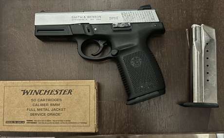 Smith&Wesson Glock Replica, Armas de fuego en PR