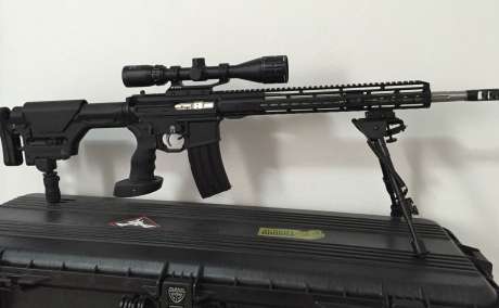 AR- 15 multi cal, Armas de fuego en PR