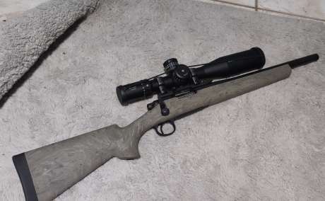 Remington 700 223 sps 16.5, Armas de fuego en PR