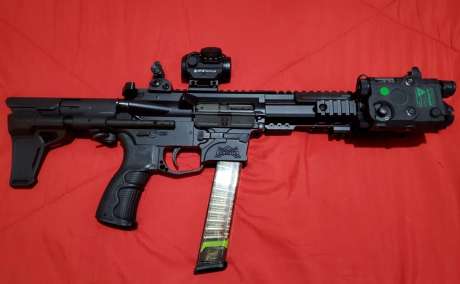 Pistol Palmetto 9mm, Armas de fuego en PR