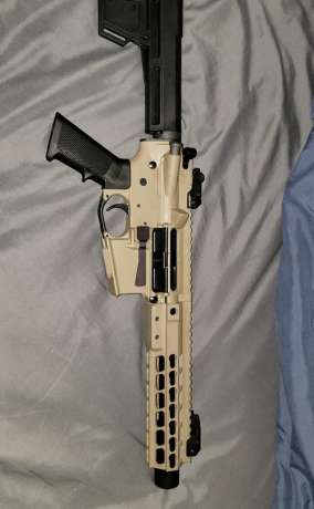 AR9, Armas de fuego en PR