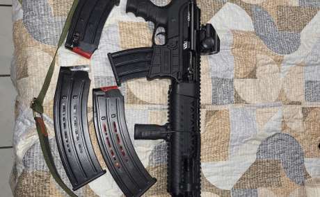 Escopeta vr60, Armas de fuego en PR