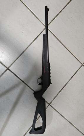Winchester Widcat cal .22lr, Armas de fuego en PR