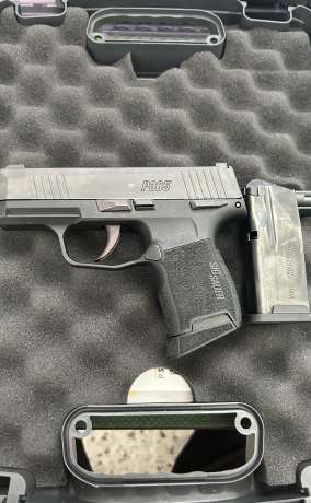 Sig Sauer P365, Armas de fuego en PR
