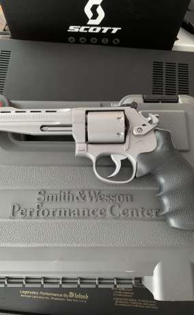 S&W, Armas de fuego en PR