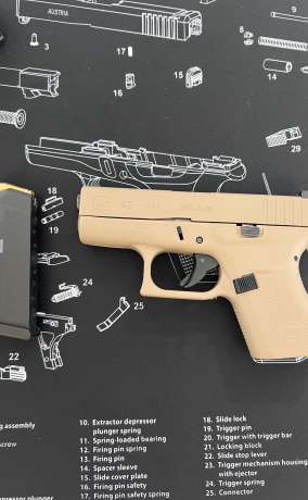 Glock 42 FDE, Armas de fuego en PR