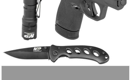 Smith and Wesson Shield Plus , Venta de Armas de fuego en PR
