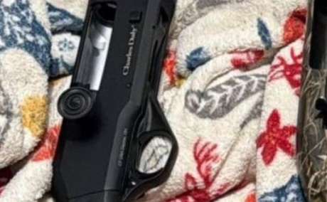 Charley daly 601 , Venta de Armas de fuego en PR