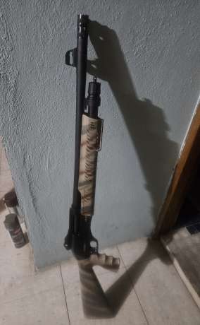 Dickinson , Venta de Armas de fuego en PR