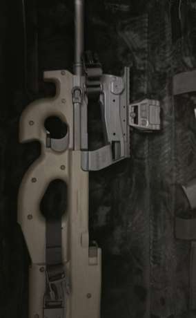 Fn p90 , Venta de Armas de fuego en PR