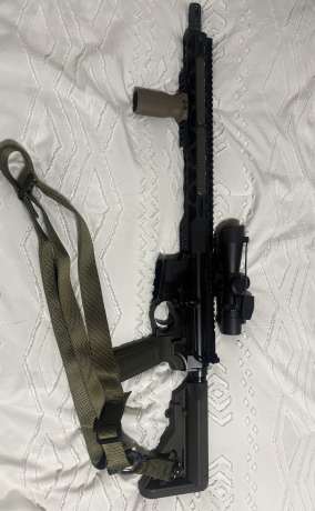 Radical 556 , Venta de Armas de fuego en PR