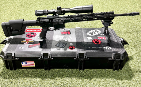 Venta, Venta de Armas de fuego en PR