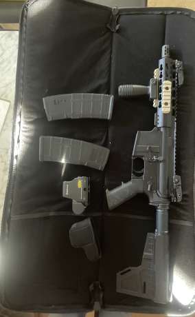 Palmetto, Venta de Armas de fuego en PR