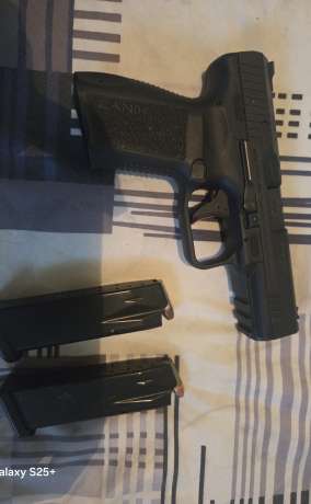 Venta, Venta de Armas de fuego en PR