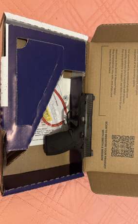 Body guard 380, Venta de Armas de fuego en PR