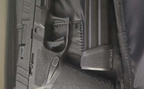 Springfield Armory Echelon 9mm - ¡NUEVA, CERO TIROS! + Grip Module Extra, Venta de Armas de fuego en PR