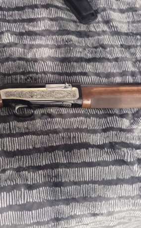 Omar-Brescia FA-11, Armas de fuego en PR