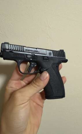 Body guard, Venta de Armas de fuego en PR