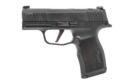P365x, Armas de fuego en PR