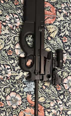 P90s, Venta de Armas de fuego en PR