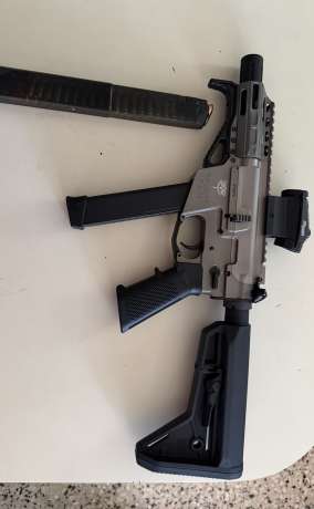 Fredom ordénaze, Venta de Armas de fuego en PR