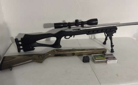 Ruger 10/22 Target, Venta de Armas de fuego en PR