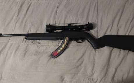 Ruger 10/22, Venta de Armas de fuego en PR
