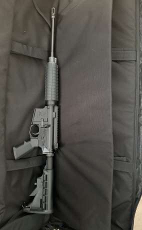 Delton AR15 5.56/.223, Venta de Armas de fuego en PR