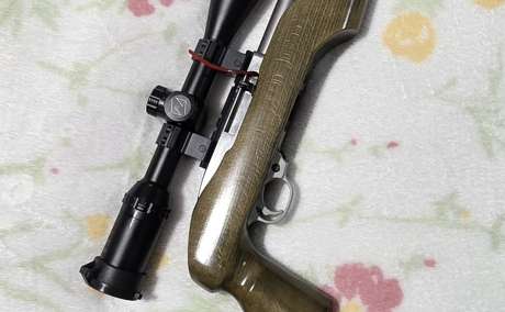Ruger 1022 Heavy Barrel, Armas de fuego en PR