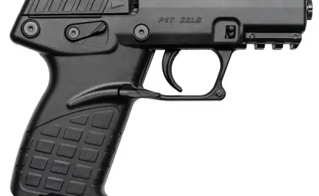 Kel-Tec P-17, Venta de Armas de fuego en PR