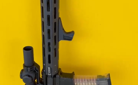 RADIAN/SLR BUILD, Armas de fuego en PR