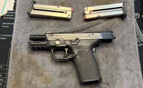 Smith & Wesson EZ, Venta de Armas de fuego en PR