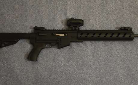 Ruger 10/22, Venta de Armas de fuego en PR