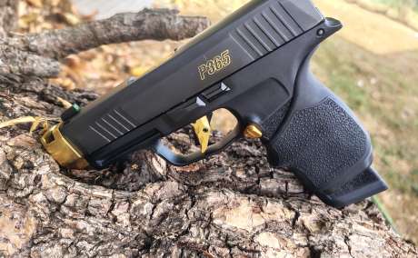 Se vende o se cambia p365 hecha p365x, Venta de Armas de fuego en PR