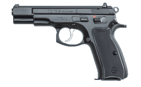 Busco CZ 75, Armas de fuego en PR