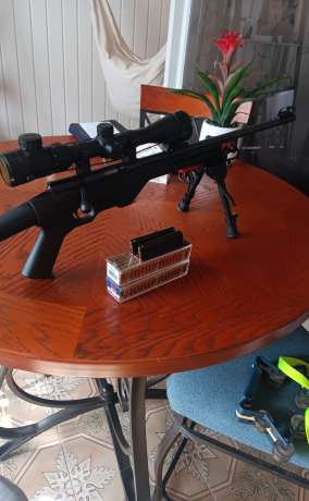 Rifle cal.22 LR, Venta de Armas de fuego en PR