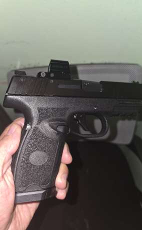FN 309, Venta de Armas de fuego en PR