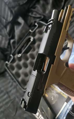 Sig 365 , Venta de Armas de fuego en PR