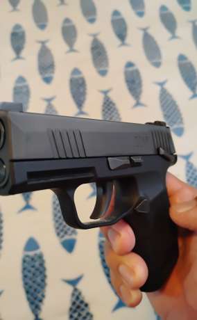 Sig Sauer p365, Venta de Armas de fuego en PR