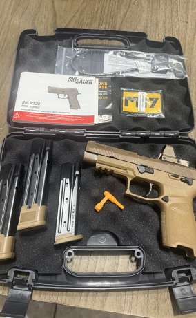 Sigsauer M-17, Armas de fuego en PR