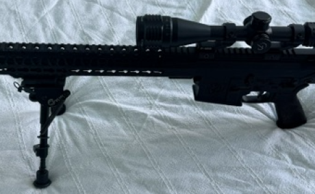 AR-10 (.308)(7.52) HARDLINE CUSTUMS, Venta de Armas de fuego en PR